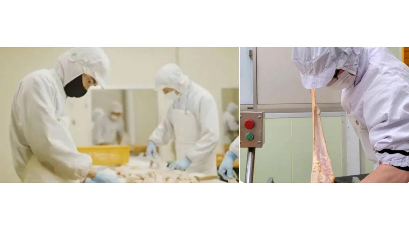 クラウドファンディングプロジェクト：牛ミノと牛タンを使用し、下処理と加工にこだわって仕上げたホルモンカレー