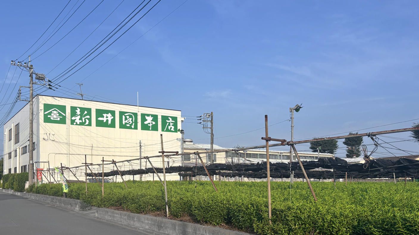 クラウドファンディングプロジェクト：まだ知らないおいしさを。狭山茶の確かな味わいを、あなたへ。