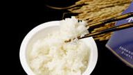 クラウドファンディングプロジェクト：パックご飯へのイメージを覆す美味しさ「彩のきずなレンジアップ御飯」