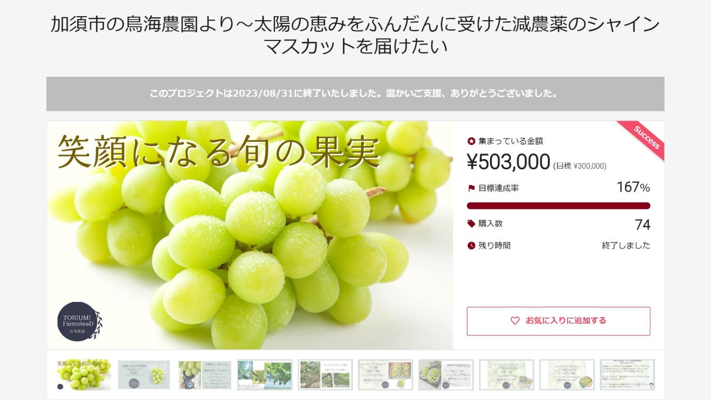 クラウドファンディングプロジェクト：甘さとジューシーさを楽しむ至福の一粒。加須市の鳥海農園がお届けする「シャインマスカット18」第3弾