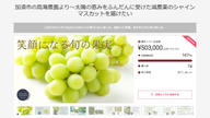 クラウドファンディングプロジェクト：甘さとジューシーさを楽しむ至福の一粒。加須市の鳥海農園がお届けする「シャインマスカット18」第3弾
