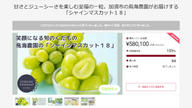 クラウドファンディングプロジェクト：甘さとジューシーさを楽しむ至福の一粒。加須市の鳥海農園がお届けする「シャインマスカット18」第3弾