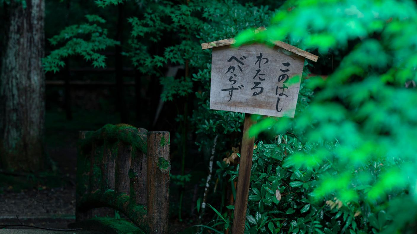 クラウドファンディングプロジェクト：京都・一休寺の植物をもとにうまれる、想像の「いきもの」展。この場所を大切に思う気持ちを広げたい