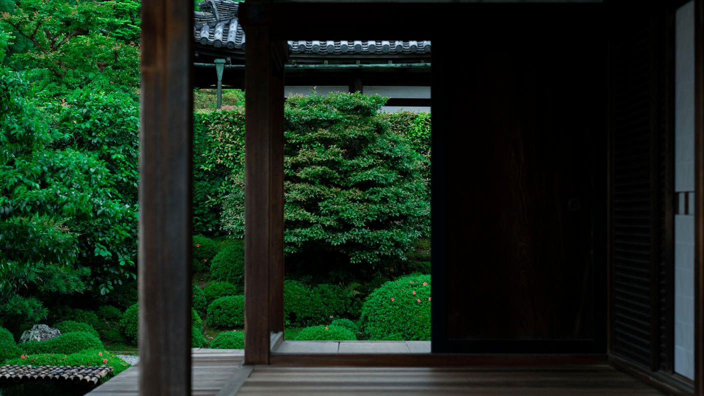 クラウドファンディングプロジェクト：京都・一休寺の植物をもとにうまれる、想像の「いきもの」展。この場所を大切に思う気持ちを広げたい