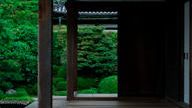 クラウドファンディングプロジェクト：京都・一休寺の植物をもとにうまれる、想像の「いきもの」展。この場所を大切に思う気持ちを広げたい