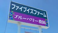 クラウドファンディングプロジェクト：農園育ちの完熟ブルーベリーをジェラートに。ファイブイズホームの新たな挑戦で、行田に新しい楽しみを。