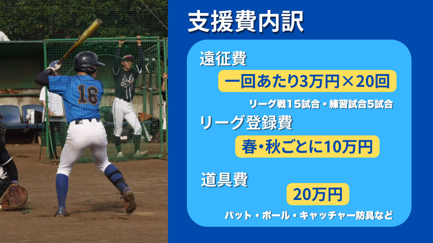 クラウドファンディングプロジェクト：創価大学準硬式野球部