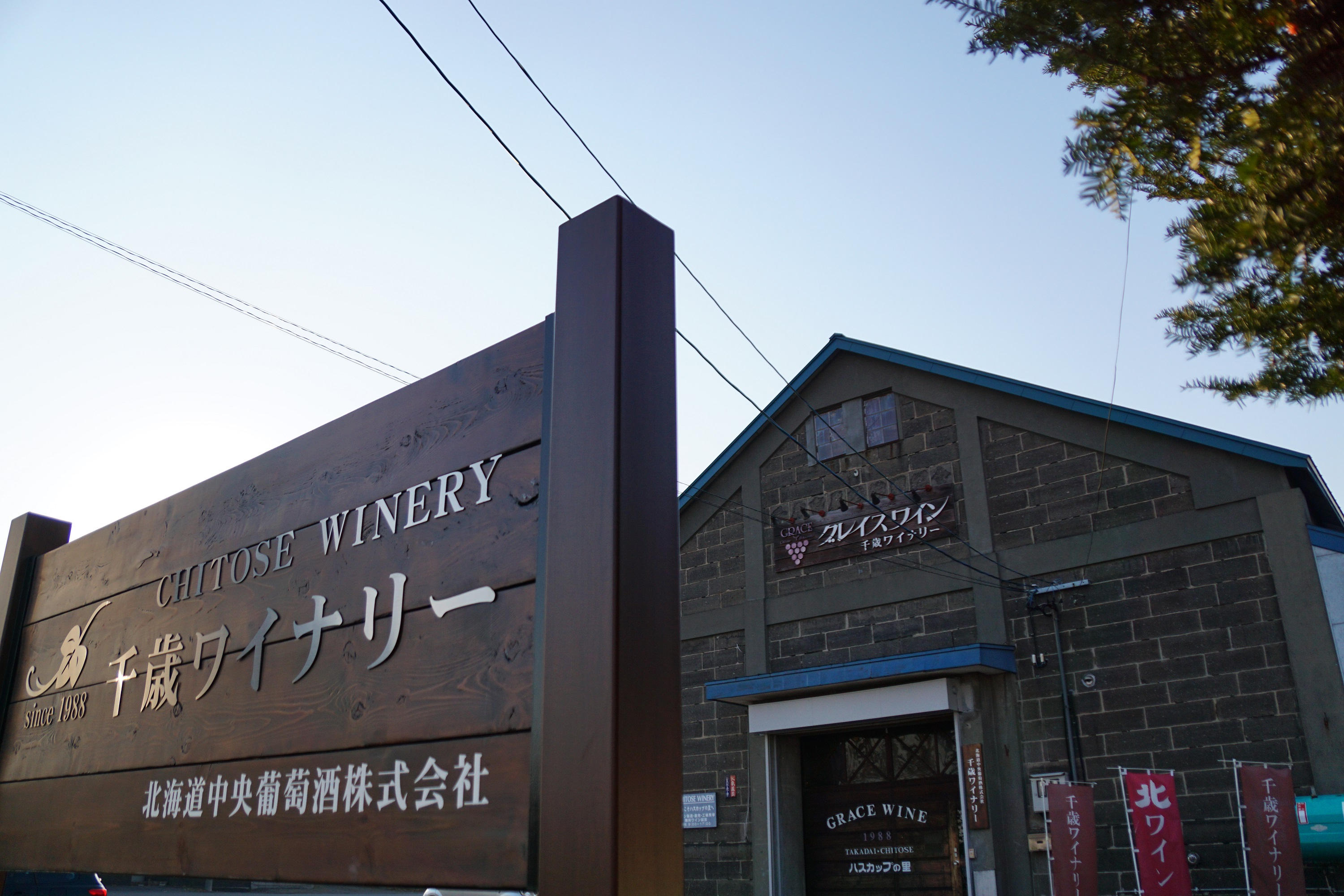 千歳ワイナリー】北の大地が育てたケルナー・ピノノワールを100％使用