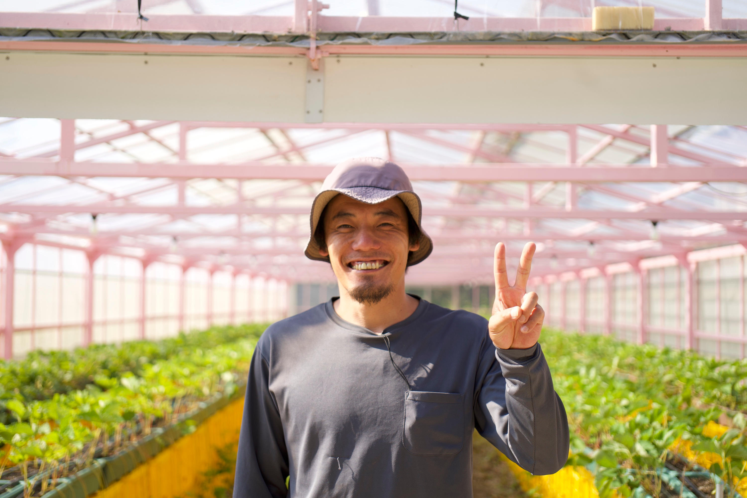 淡路島から摘みたて白いちご直送！廃校活用で持続可能な農業を目指す