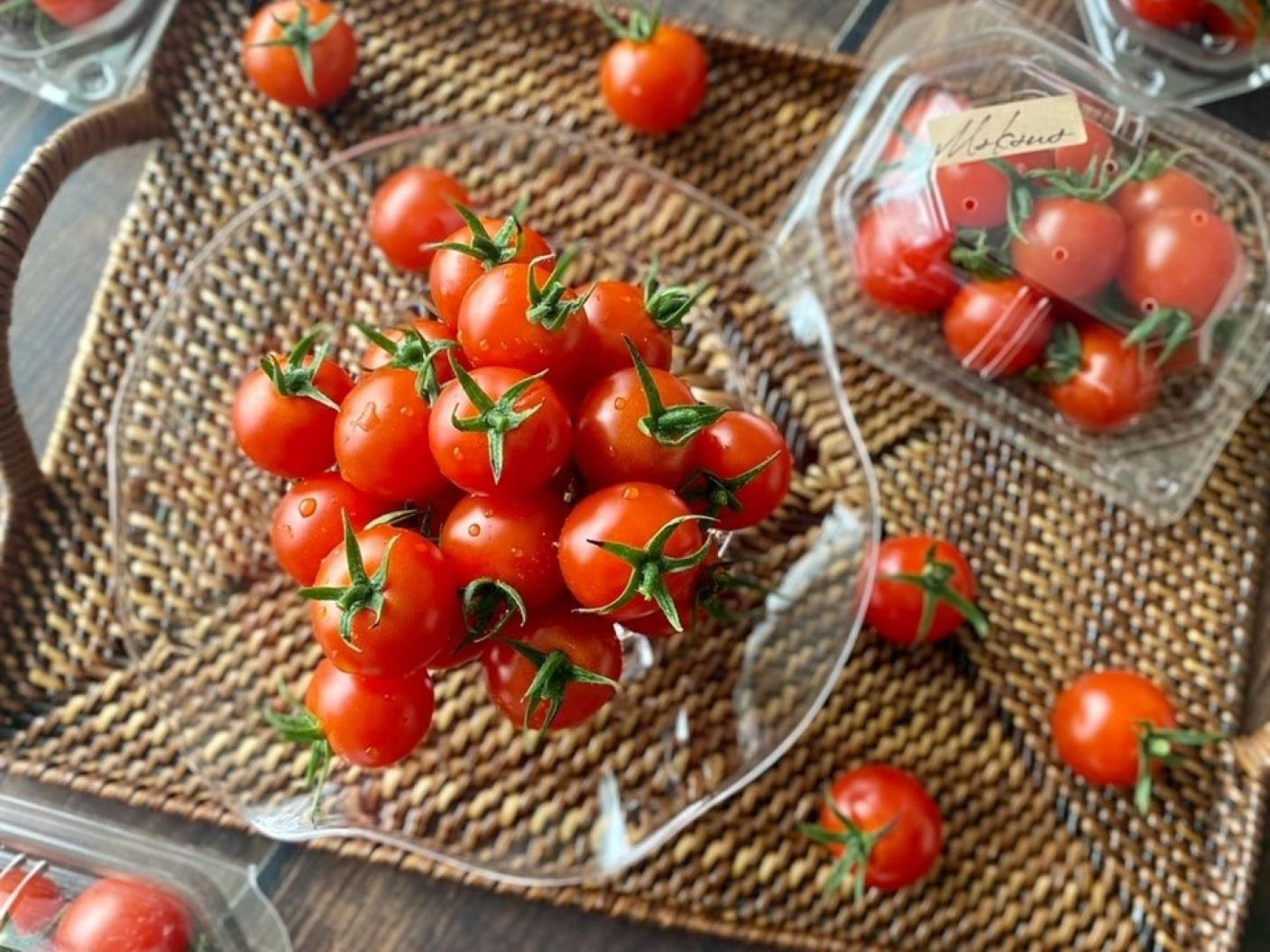 九十九里、一宮の太陽の味がする。石井農園のおいしいトマト