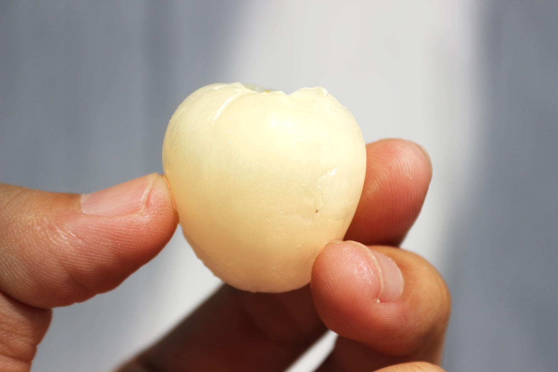 旬の台湾果物を食べて応援！天然モノの完熟台湾アップルマンゴー