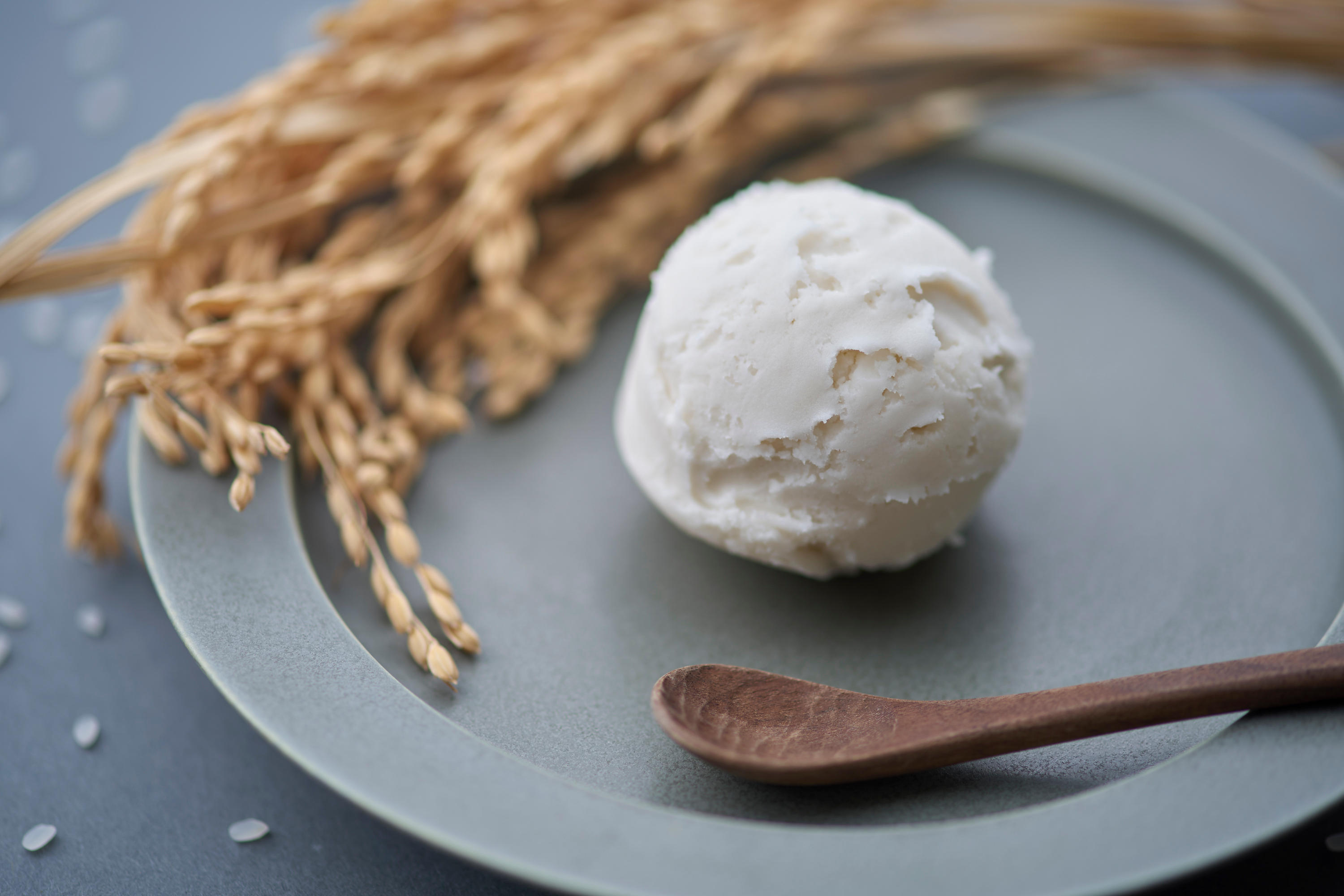 GELATE FACTORY 31個セット 本格ジェラートファミリーセット 2L