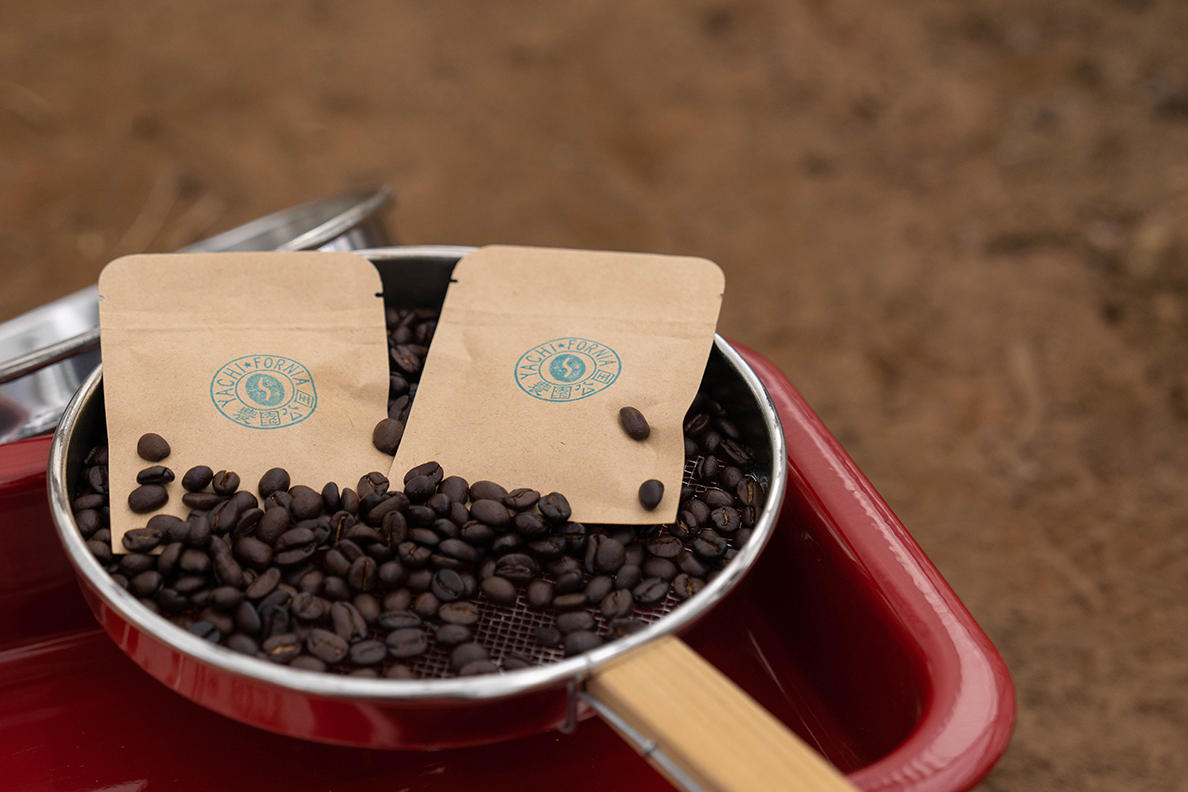 国産コーヒー苗木のオーナー様募集中（募集期間10月末日まで）八千代市