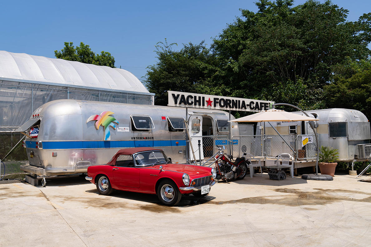 国産コーヒー苗木のオーナー様募集中（募集期間10月末日まで）八千代市