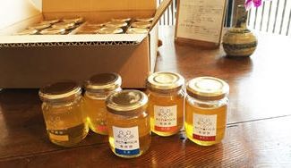 クラウドファンディングプロジェクト：古都、鎌倉産の純粋はちみつを味わってほしい