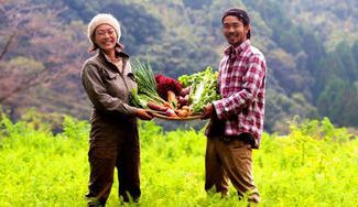 クラウドファンディングプロジェクト:熊本のこだわり農家発!その美味しさに恋しちゃう!?厳選オーガニック野菜を、みんなで食べて・復興支援!