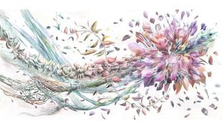 クラウドファンディングプロジェクト：伝統と革新を融合したアート「デジタル版画」その美しさを多くの人々に伝えたい。