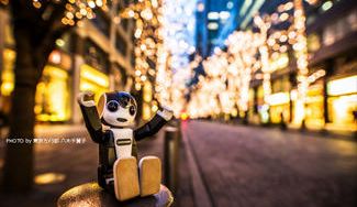 クラウドファンディングプロジェクト：シャープが手がけるモバイル型ロボット『ロボホン』　クリスマスにむけて限定アイテムを販売