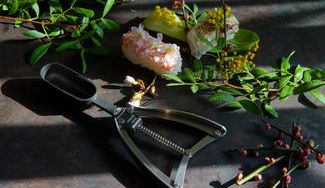 クラウドファンディングプロジェクト：ホームパーティーで大活躍！誰でも簡単、手軽にお寿司が握れる「寿司トング」