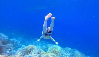 クラウドファンディングプロジェクト：セブ実践研修プロジェクト〜最高の思い出＆最高の仲間＆就活の武器〜