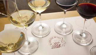 クラウドファンディングプロジェクト：【大阪開催】【ワインセミナー】2時間でワインを味方につける（1回完結型）