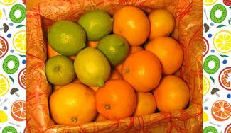 クラウドファンディングプロジェクト：大崎上島のレモン・ミカンを購入して、農家の支援を！県立広島大学　学生１００人収穫応援プロジェクト