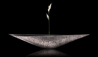 クラウドファンディングプロジェクト:地域で輝く女性アーティスト支援プロジェクト 第一弾 有田で活躍する女性陶芸家を支援したい