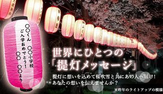 クラウドファンディングプロジェクト：提灯に想いを込めて！桜吹雪と共にあの人へ届け！あなたの想いを伝えませんか?
