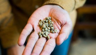 クラウドファンディングプロジェクト：コーヒー好き必見！日本初のスペシャルティコーヒー農園を焙煎サービス「The Roast」を通じて応援