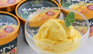 クラウドファンディングプロジェクト：栃木県発、国民的ブランドアイスの限定セット！ご当地アイスで、全国に「夏の涼」をお届け！！