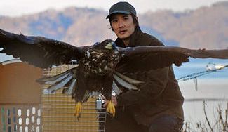 クラウドファンディングプロジェクト：傷ついて野生に戻れなくなった希少猛禽類たちにより良い環境を与え、 もっと活躍してもらいたい！