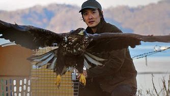 クラウドファンディングプロジェクト:傷ついて野生に戻れなくなった希少猛禽類たちにより良い環境を与え、 もっと活躍してもらいたい!