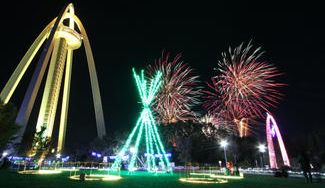 クラウドファンディングプロジェクト：SDGsを発信する17色の大輪花火で、138タワーパークのイルミネーションを彩りたい！