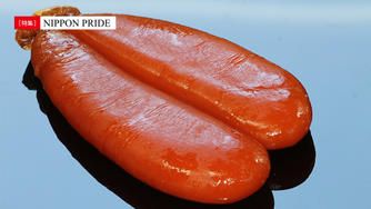 クラウドファンディングプロジェクト：特別なボラの卵巣だけを使った幻の「からすみ」づくりを完全復活させる