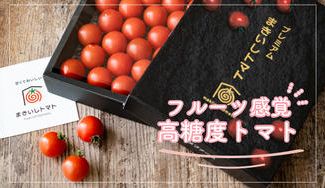 クラウドファンディングプロジェクト:まるでフルーツ 減農薬で安心な、甘~いトマト「プレミアムまきいしトマト」をお届けします