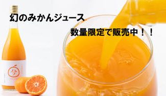 クラウドファンディングプロジェクト：【飲んで応援！】幻のみかん「今村みかん」を使った搾りたてのジュース　再販売決定！