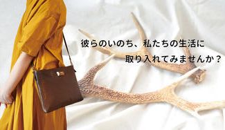 クラウドファンディングプロジェクト：シカの角でおうちの中を彩る作品を作りたい！害獣駆除される命に新たな息吹をー「MAKAMI」の挑戦！