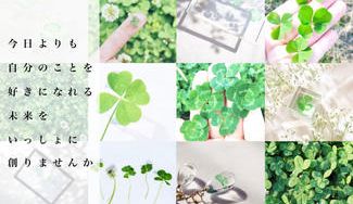 クラウドファンディングプロジェクト：テレビでも話題！世界初、四つ葉のクローバーを1000本集めて、世界地図をつくります。