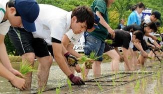 クラウドファンディングプロジェクト：第一回「山田錦の未来を支えるウェビナー」オンラインセミナー開講。日本酒を味わい、学ぼう！