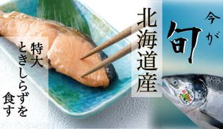 クラウドファンディングプロジェクト:【100分の1の奇跡】今が旬!北海道産 特大トキシラズを食す!