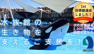 クラウドファンディングプロジェクト:名古屋港水族館、クラウドファンディングはじめました!~生き物のために支援をお願いします~