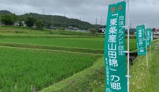 クラウドファンディングプロジェクト：まろやかで軽い、奥深い。最高峰酒米の世界　山田錦に乾杯！オンラインセミナー　剣菱＆岳　　 