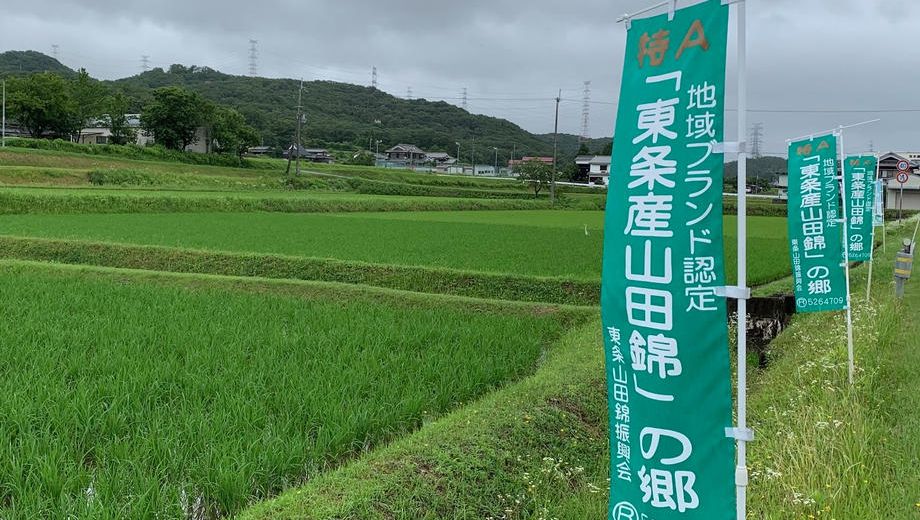 クラウドファンディングプロジェクト：まろやかで軽い、奥深い。最高峰酒米の世界　山田錦に乾杯！オンラインセミナー　剣菱＆岳　　 