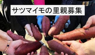 クラウドファンディングプロジェクト：サツマイモの里親募集！ふるさと再生プロジェクト～繋ぎたい生命のバトンリレー～