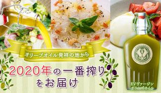 クラウドファンディングプロジェクト：2020年一番搾り！“オリーブオイル・ヌーボー”「搾りたてEXVオリーブオイル」をお届け