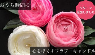 クラウドファンディングプロジェクト：一日のどこかで、心がほっと安らぐキャンドルタイム。美しいキャンドルで癒しの力を届けたい。