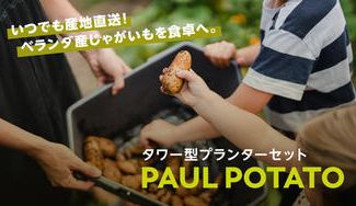 クラウドファンディングプロジェクト:ベランダ産じゃがいもを食卓へ 野菜と暮らす『タワー型プランター』 おうち時間をワンランク上に
