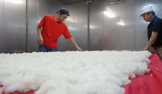 クラウドファンディングプロジェクト：おいしくて　持続可能な酒米と日本酒づくりとは　地エネの酒 for SDGs　富久錦＆盛典