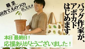 クラウドファンディングプロジェクト：【かばん職人がつくる国産アボカド農園】を作りたい！！