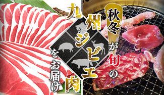 クラウドファンディングプロジェクト:害獣被害を美味しく減らしたい!秋冬が旬の、九州産ジビエの美味しさを全国へ!